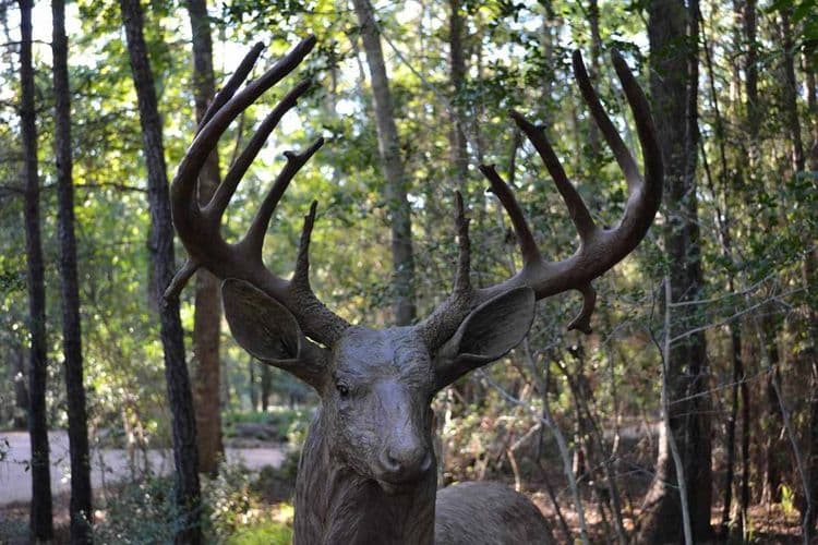 Wildlife Monuments - Magnolia Whitetails - Hero Image