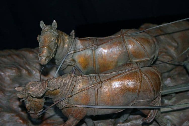 Western - Back to Texas - Thumbnail 5