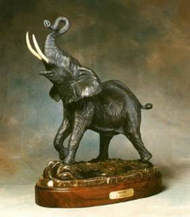 Wildlife - Defiance - Hero Image